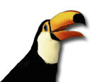 2705 bird logo
